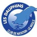 LES DAUPHINS DU MOULE DU MOULE