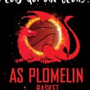 A S PLOMELIN Basket