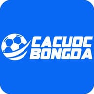 Cá Cược Bóng Đá - Trang cá cược uy tín hiện nay