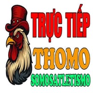 ĐÁ GÀ TRỰC TIẾP  THOMO HÔM NAY 