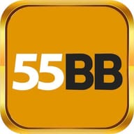 55bb bike