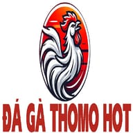 ĐÁ GÀ THOMO  HOT