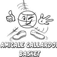 Basket Gallardon