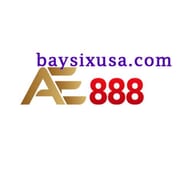 AE888  baysixusa