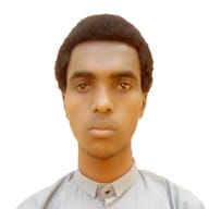 Youssouf Bara Tahir