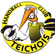 HBC Teichois U15 F1