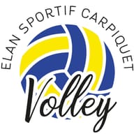 ES CARPIQUET VOLLEY-BALL