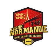 ligue de football de normandie