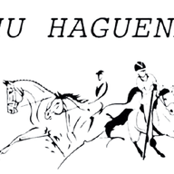 SHU de Haguenau