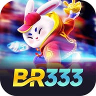 BR 333