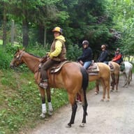 Ecuries du Bois d'Harcourt