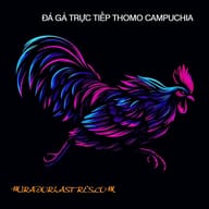 ĐÁ GÀ TRỰC TIẾP  THOMO HÔM NAY