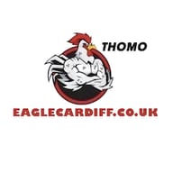 ĐÁ GÀ TRỰC TIẾP VIN  eaglecardiff