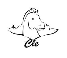 ASSOCIATION LA CLE DES LOISIRS EQUESTRES Handisport