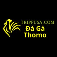 Đá Gà Trực  Tiếp Thomo