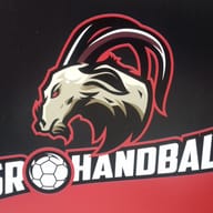 USR handball