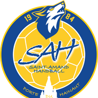 Saint Amand Handball Porte du Hainaut Senior M1