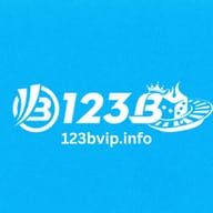123b 123b