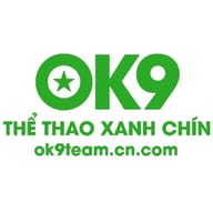 ok9team cn com