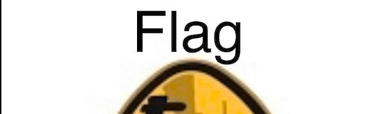 Steelers Flag