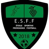 Et. S du Fronsadais Football U15 Départemental 4 2020