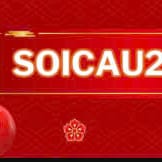soicau247sme soicau247sme