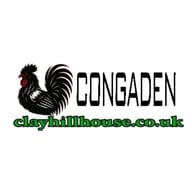 CONGADEN TRỰC TIẾP ĐÁ GÀ THOMO
