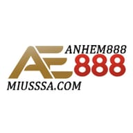 ANHEM888
