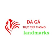 Đá Gà Trực Tiếp Thomo Hôm Nay