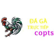 Đá Gà Trực Tiếp  Thomo - Đá Gà Cựa Dao