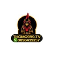 THOMO999.TV Thomo SV388