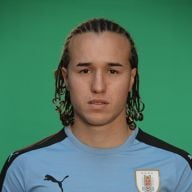 Diego Laxalt