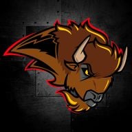 Bisons Mixte D2 Saison 2019