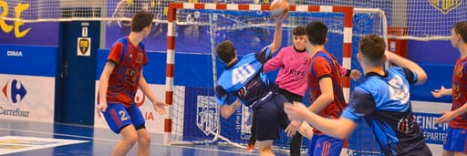 HANDBALL BRIE77