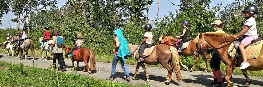 Poney club St Pantaly d'Excideuil