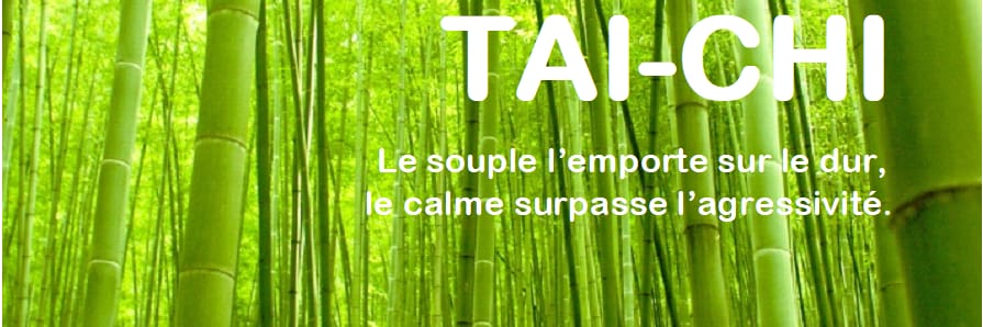 Pratique et Etude du Tai Chi Chuan