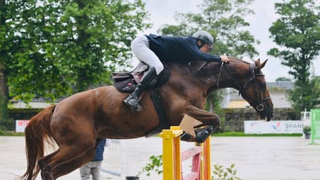 Le saut d'obstacles, reine des disciplines équestres - Écurie du Val Loyer