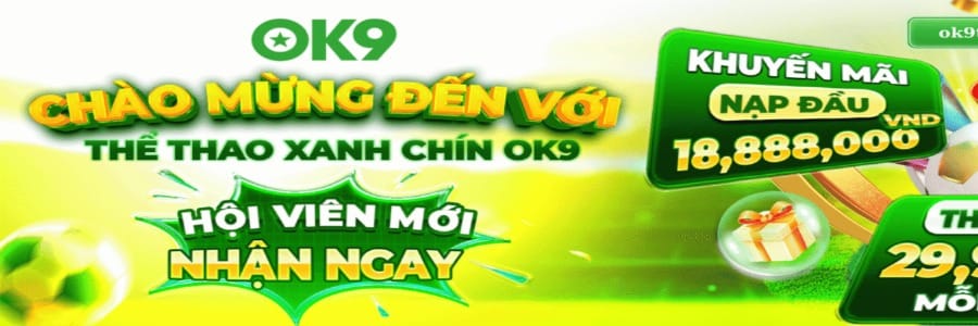 ok9team cn com