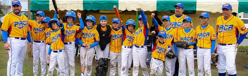 Ligue PACA de Baseball, Softball, Cricket