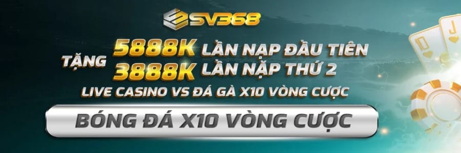 sv368y org