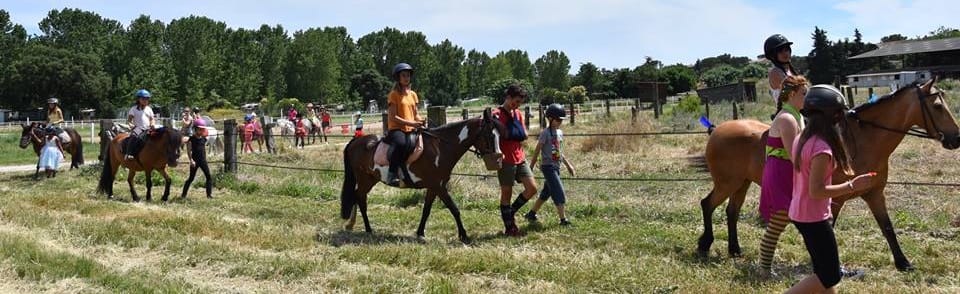 les Poneys de Sophie