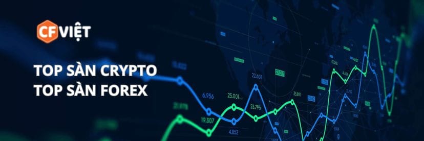 Dũng Bullish – Founder & CEO công ty CF Việt