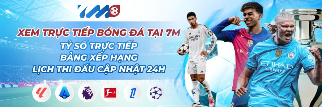 7M