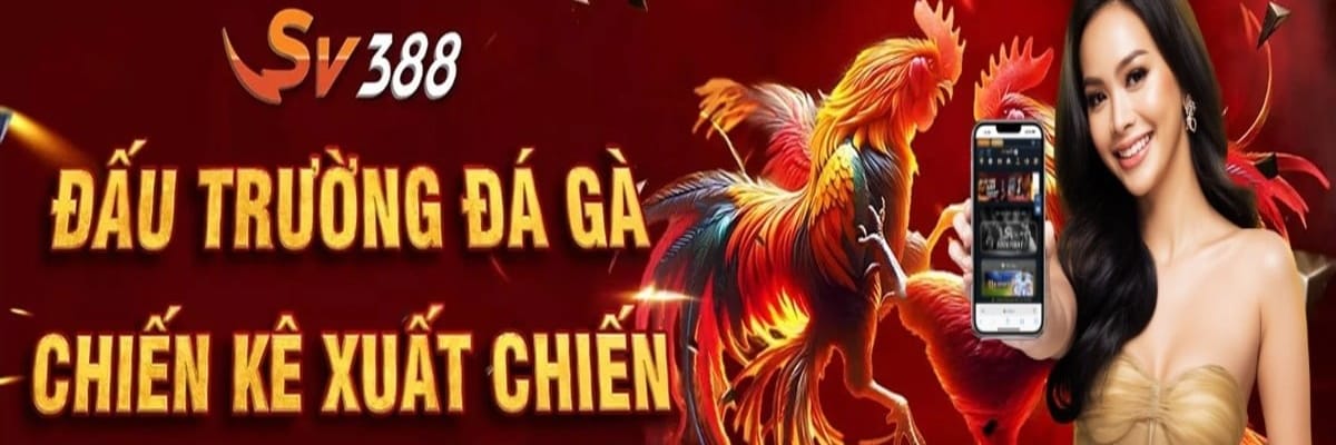 sv388 – sân chơi đá gà trực tuyến hàng đầu