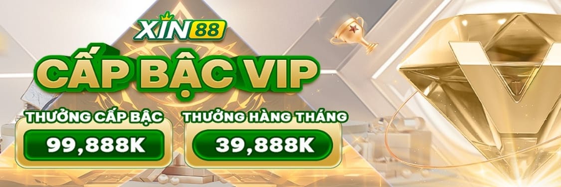Xin88 