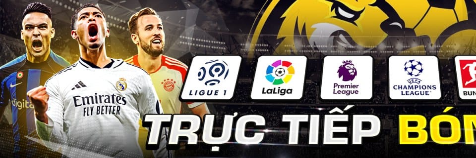 SOCOLIVE tv