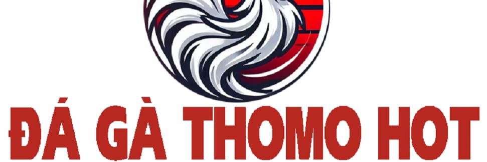 ĐÁ GÀ THOMO  HOT