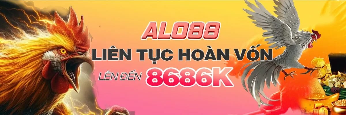 Alo88 wiki
