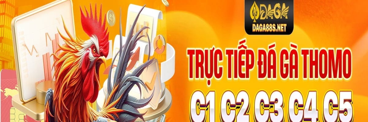 Daga88 – Thế Giới Đá Gà  Trực Tuyến Đỉnh Cao