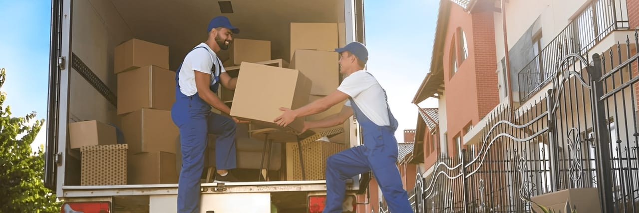   Auckland Movers Packers